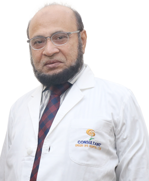 Consultant: Prof. Md. Shafayet Hasan Majumder